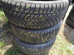 Goodyear UltraGrip Perfovance 215/50 R19